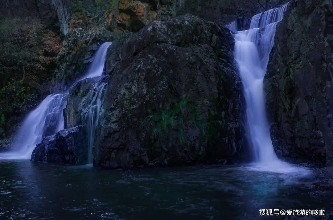 救援男孩与狗
