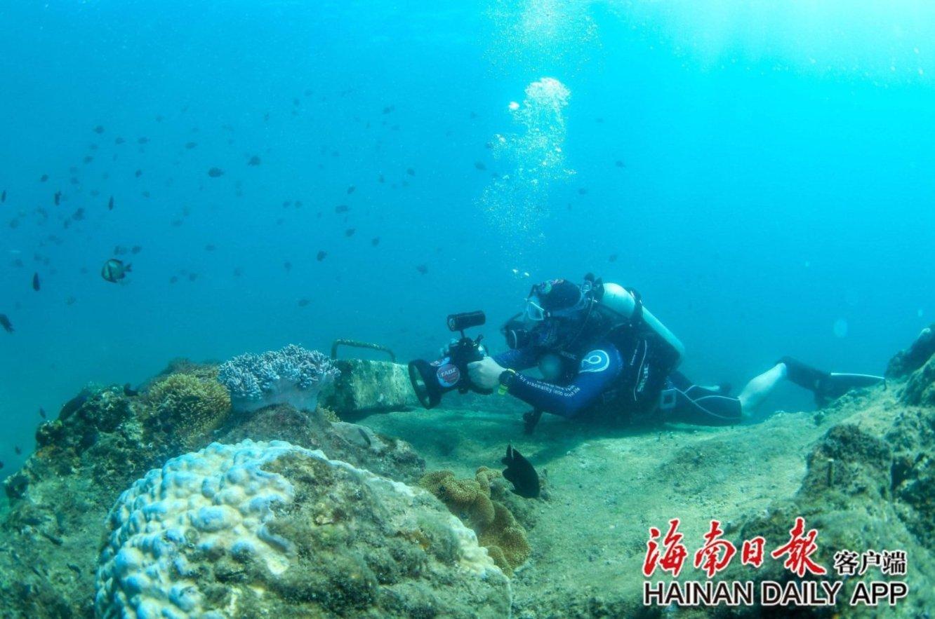 蓝色紫色
