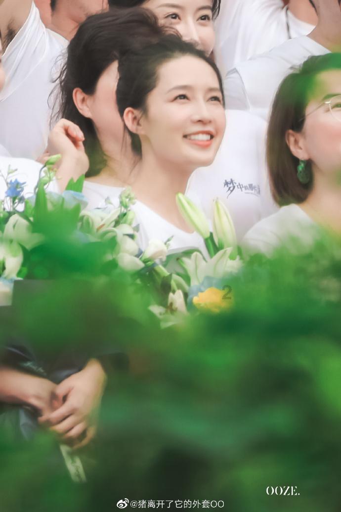 救援小犬立苏